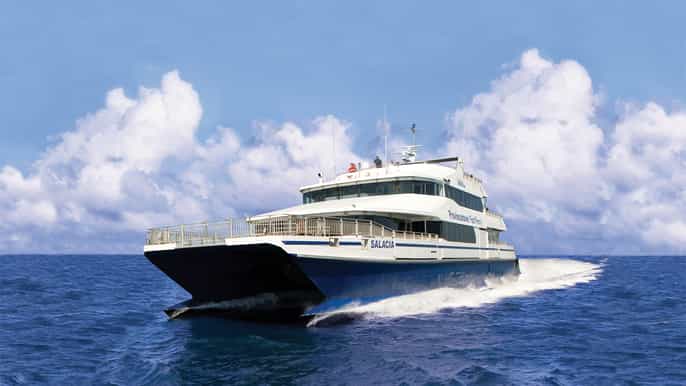 cape cod fast ferry from boston oneway or round trip