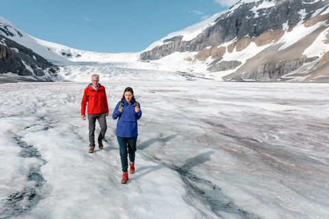 From Banff: Columbia Icefield Tour with Glacier Skywalk