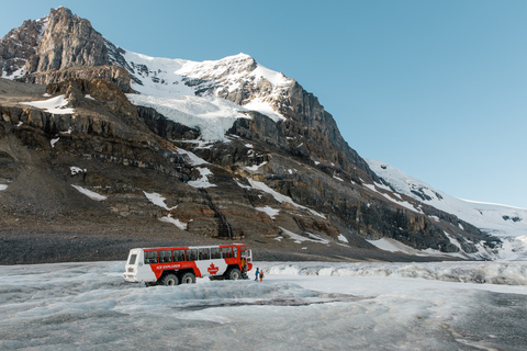 From Banff: Columbia Icefield Tour with Glacier Skywalk