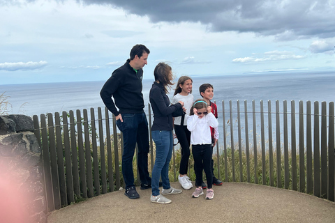 From Belfast: Giant's Causeway and Dark Hedges Day Tour