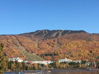 Montréal, visite de la journée privée au Mont Tremblant - Housity