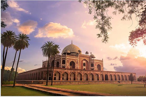 New Delhi: Full-Day Guided Sightseeing Tour