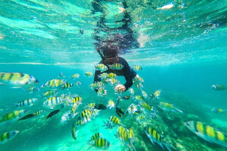 Krabi: tour privado de día completo por 4 islas en bote de cola larga
