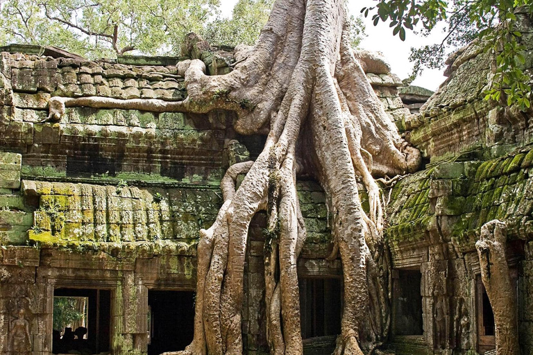 Siem Reap: AngkorWat Tour Zonsondergang Engelse gids Privé 01Dag