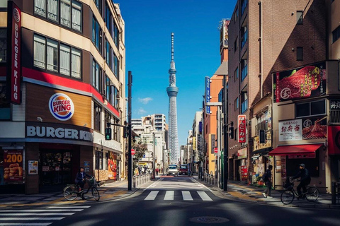 Stadsrondleiding door Tokio met Engelssprekende chauffeur.