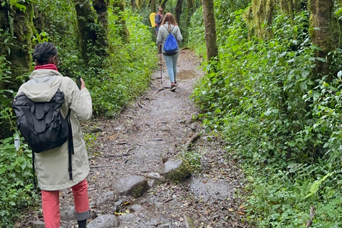 Kilimanjaro dagwandeling