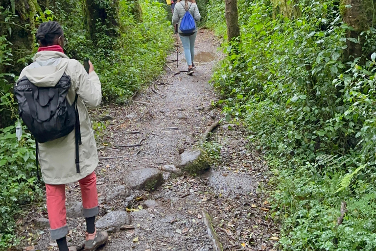 Berg Kilimandscharo Tageswanderung