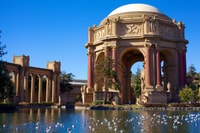 San Francisco, Luxury Van Tour with Snacks - Housity