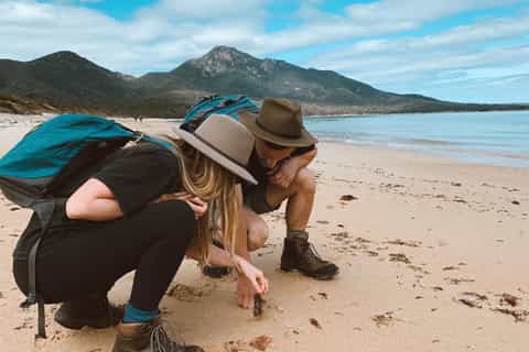 Freycinet National Park: Guided Walking Tour