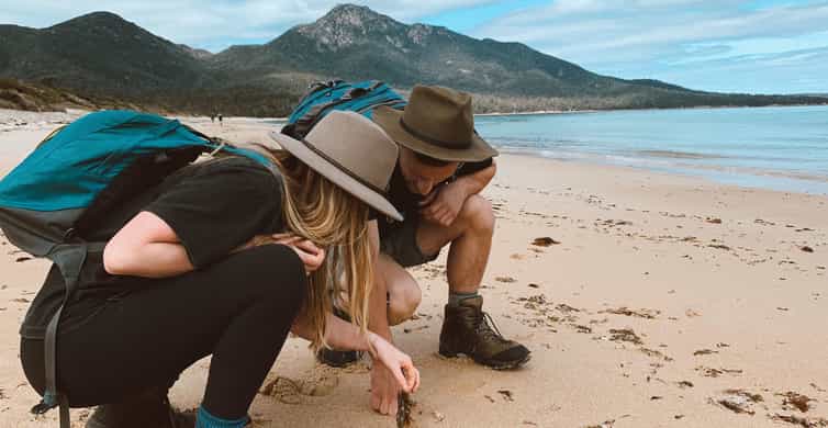Freycinet: 5.5-Hr Small Group Guided Walking Experience