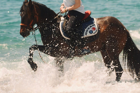 Horseback riding through dunes and pine forests to the beach in Side Horseback riding through dunes and pine forests to Side Beach