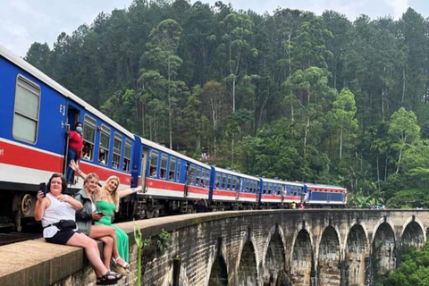 From Ella - Private Day Tour of 8 Iconic Sights &amp; Train RideElla PRIVATE Day Tour by Car