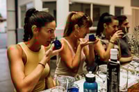 Kalamata, The Olivenölrouten Tour - Housity