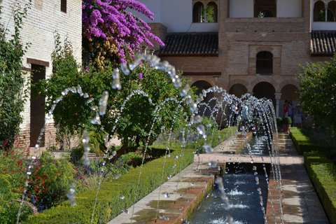 Granada: Tour guiado completo de la Alhambra con entradasTour en alemán