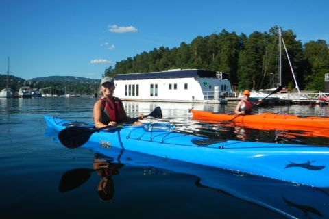 Oslo : excursion de 3 heures en kayak sur l'Oslofjord