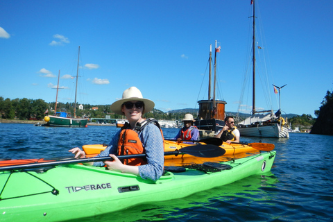 Oslo: 3-hour Kayaking Trip on the Oslofjord