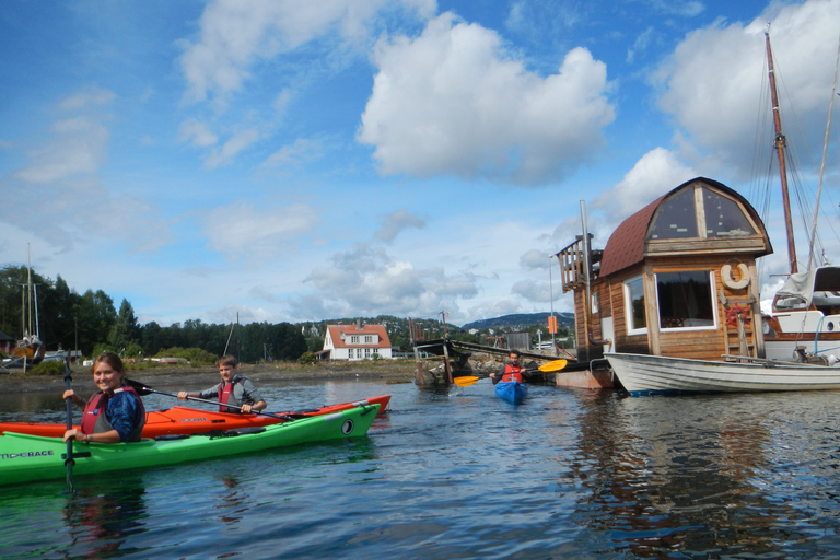 Oslo: Excursión de 3 horas en kayak por el Oslofjord