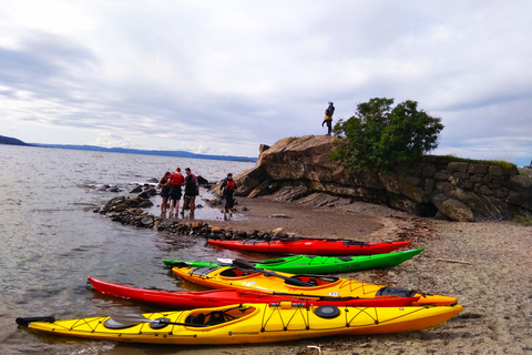 Oslo: Excursión de 3 horas en kayak por el Oslofjord