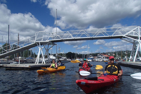 Oslo: viagem de caiaque de 3 horas no Oslofjord