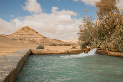 Kairo: 2-dagars Bahariya Oasis Camp och ökenturPrivat tur med ökencamping och måltider