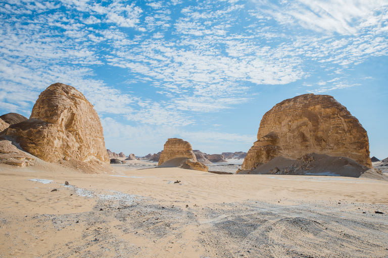 Cairo: 2-daags Bahariya Oasis Camp en Desert TourGedeelde tour met Desert Camping & Meals