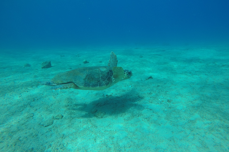 Kas : Journée complète d'excursion privée en bateau dans les îles de Kas avec déjeuner