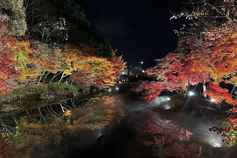 Nagoya: Nagashima Outlet Mall & Nabana no Sato Park Trip Nagoya: Nagashima Outlet Mall and Nagashima Spaland