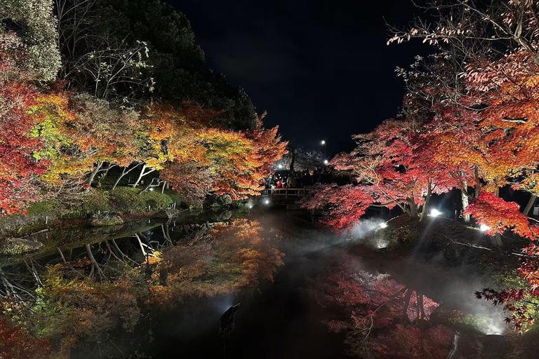 Nagoya: Nagashima Outlet Mall & Nabana no Sato Park Trip Nagoya: Nagashima Outlet Mall and Nagashima Spaland