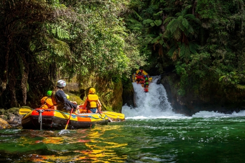 Kaituna River und Tutea Falls: Wildwasser-Rafting