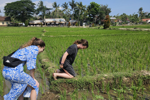 Yogyakarta: Flying Fox, Pule Payung & Ricefield Scenic Tour
