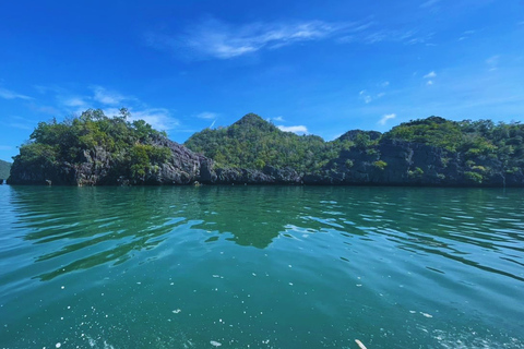 Langkawi: KILIM Geoforest Mangrove Jetski Tour Adventure 3H Single Rider Jet Ski Option