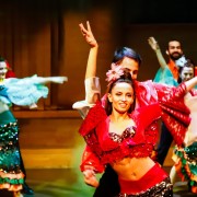 Istanbul: Turkish Dance Show at Hodjapasha Cultural Centre
