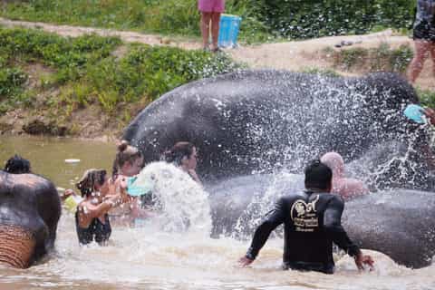 Phuket: Ethical Elephant Sanctuary Interactive Tour