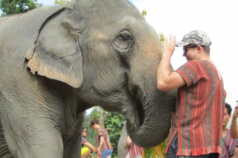 Phuket: Ethical Elephant Sanctuary Interactive Tour