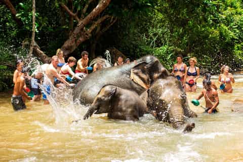 Phuket: Ethical Elephant Sanctuary Interactive Tour
