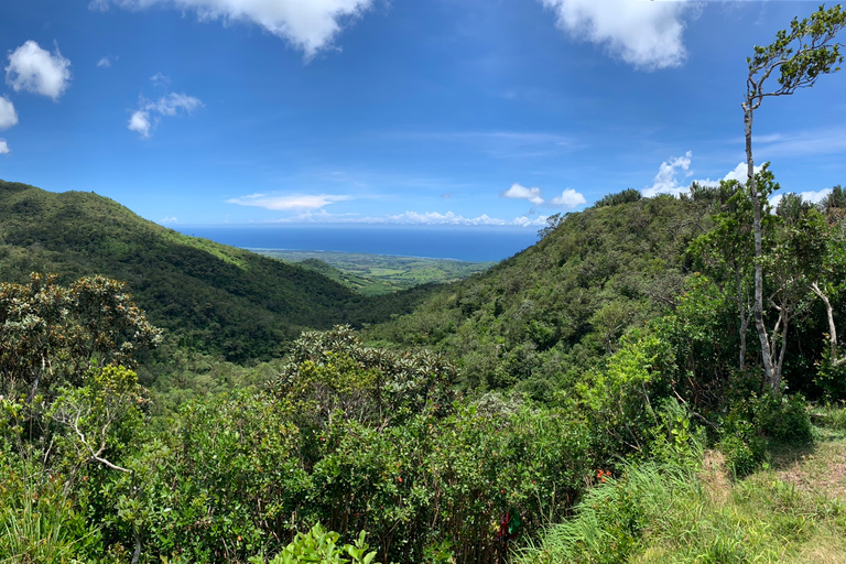 Mauritius: Full-Day Tour of the Southwest