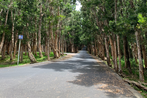 Mauritius: Full-Day Tour of the Southwest