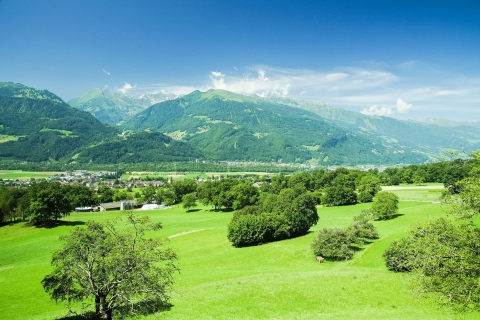 Desde Zúrich: viaje privado a Liechtenstein y Heidiland