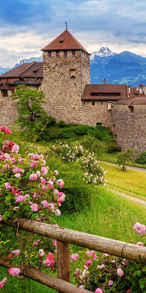 From Zurich: Private Trip to Liechtenstein and Heidiland