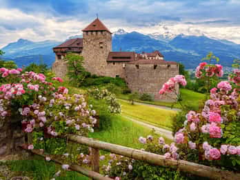 Vanuit Zürich: Privéreis naar Liechtenstein en Heidiland