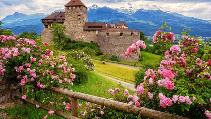 from zurich private trip to liechtenstein and heidiland