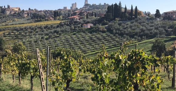 Von Livorno: Landausflug nach Chianti und San Gimignano