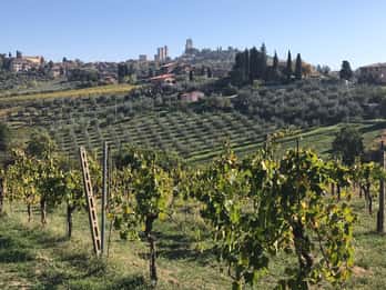 De Livourne : Excursion dans le Chianti et à San Gimignano