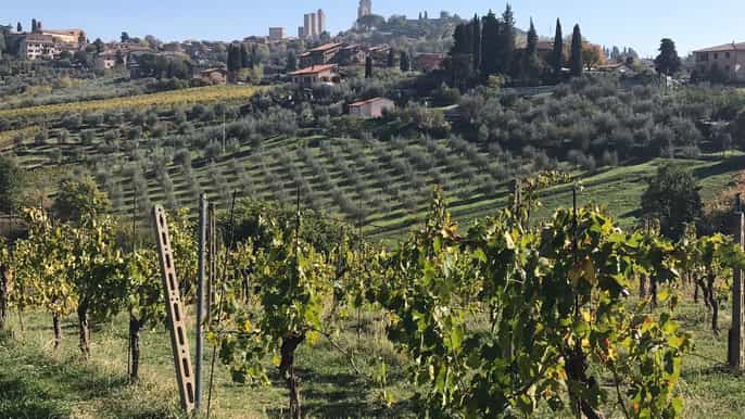 desde livorno excursión en tierra a chianti y san gimignano