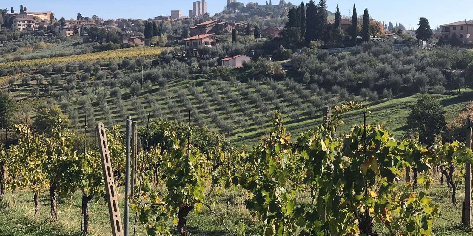 From Livorno: Shore Excursion to Chianti and San Gimignano | GetYourGuide, image size:1585x792