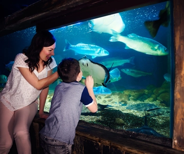 SEA LIFE Entrance Ticket