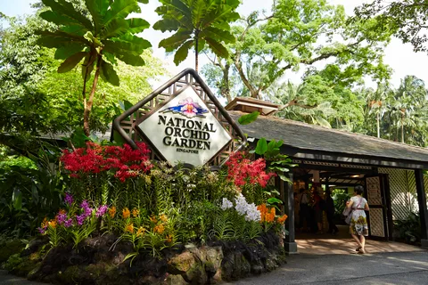 Cingapura: Ingressos para o National Orchid Garden