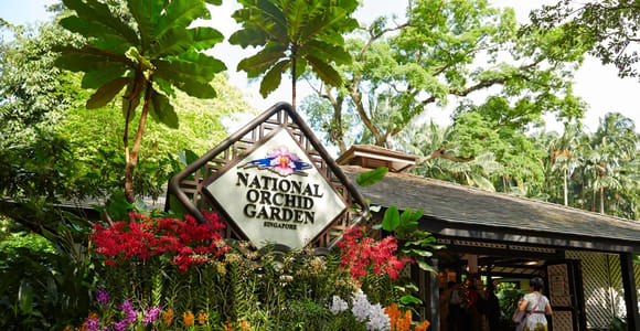 The wooden entrance sign of the National Orchid Garden under trees, banked with orchids in red, purple, yellow and white