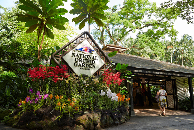 Singapore: biglietti d'ingresso al giardino nazionale delle orchidee