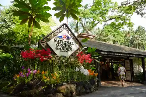 Cingapura: Ingressos para o National Orchid Garden